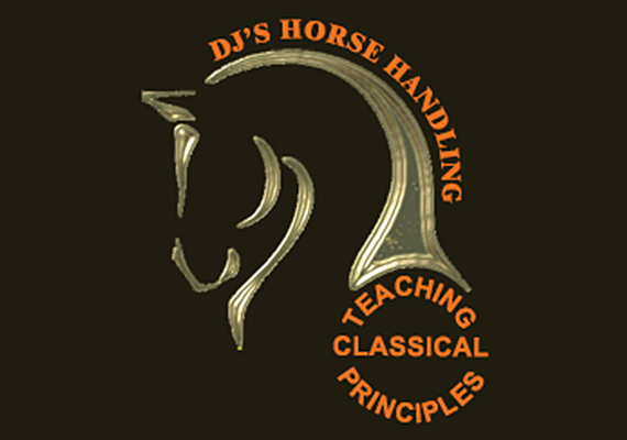 Web Page Design<br>www.djshorsehandling.com